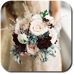 Cover Image of Download Wedding Colors  APK