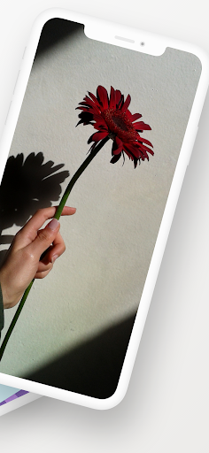 Theme for Vivo V21 Screen 2