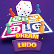 Dream Ludo - Ludo Board Game - Dice Game