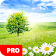 Nature Wallpapers PRO icon