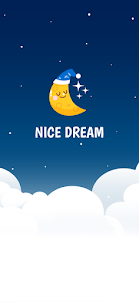 Your Nice Dream