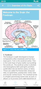 The Goofy Anatomist Screenshot