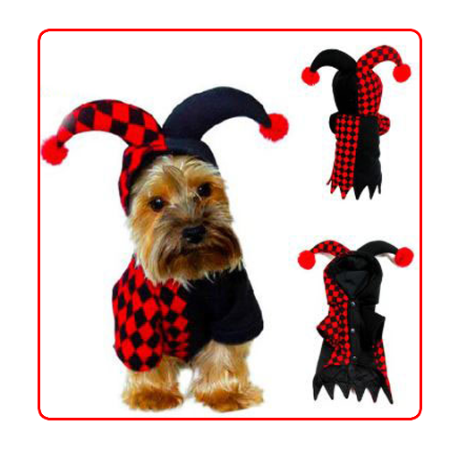 Dog Costume Gallery