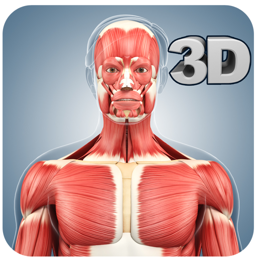 Muscle Anatomy Pro.  Icon