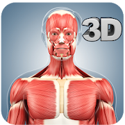 Top 30 Medical Apps Like Muscle Anatomy Pro. - Best Alternatives