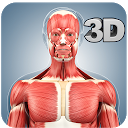 Télécharger Muscle Anatomy Pro. Installaller Dernier APK téléchargeur