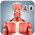Muscle Anatomy Pro.1.6