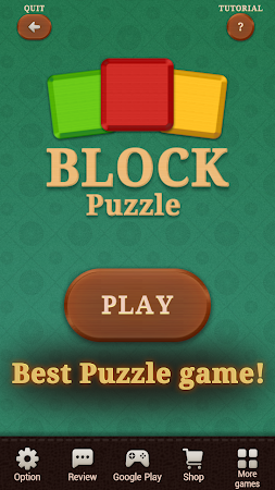 Game screenshot BlockPuzzle apk download