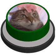 Cat Trascendence | Meme Button