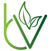BestVeggies Online Vegetable Shopping App Vadodara