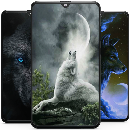Wolf Wallpaper HD Descarga en Windows
