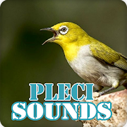 Top 40 Music & Audio Apps Like Pleci Sounds Ringtone Collection - Best Alternatives
