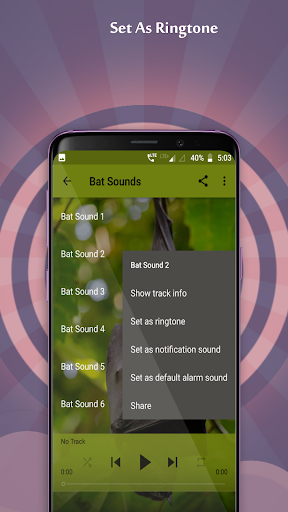 Bat Sounds Screen 2