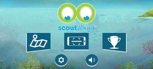 Scout About South Seas