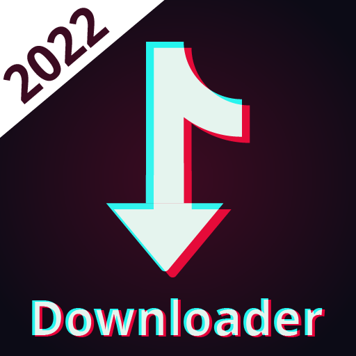 TikTock Video Downloader Download on Windows