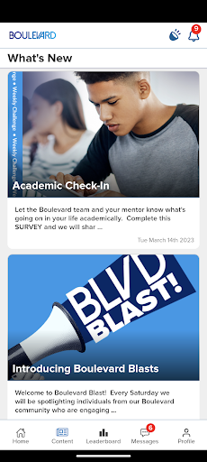 Boulevard Mentorship Screenshot 1 - AppWisp.com