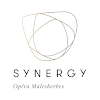 Download Synergy on Windows PC for Free [Latest Version]