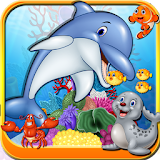 Feed the Dolphin & Care icon