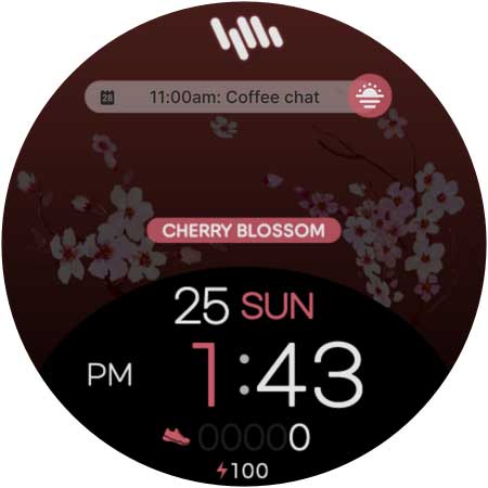 SamWatch Flower 2024 C.B screenshot 25