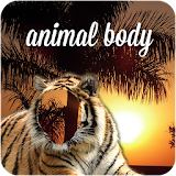 Animal Body icon