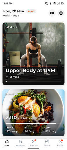 Canvas Muscle Screen 2