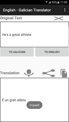 English - Galician Translator Screen 2