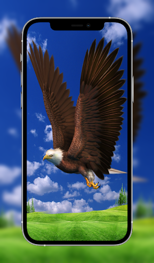 Android application Eagle Wallpapers Hd screenshort