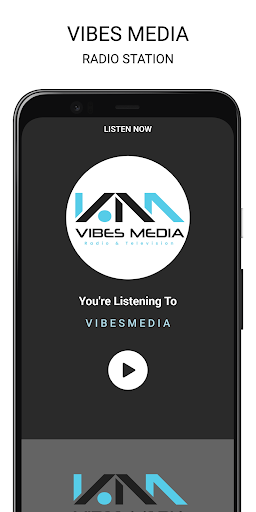 Vibes Media Belize Screen 2
