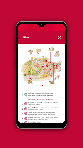 Casa del Vino de Tenerife