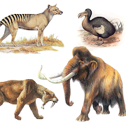  Extinct animals, endangered species! Rare animals 