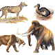 Extinct animals and endagered species!Rare animals
