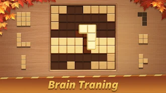 Game screenshot Block Puzzle - Wood Blast mod apk