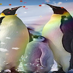 Cover Image of ดาวน์โหลด Penguin Wallpaper  APK