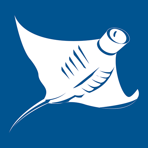 VideoRay Knowledge Base logo