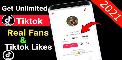 TikFame Organic Followers