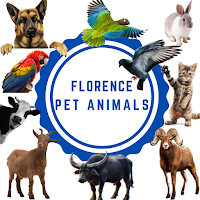 Florence Pet Animals