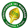 download TSM - Fruits and Vegetables apk