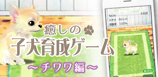 癒しの子犬育成ゲーム チワワ編 Google Play のアプリ