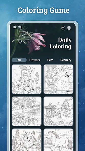 Daily Coloring Paint by Number banner