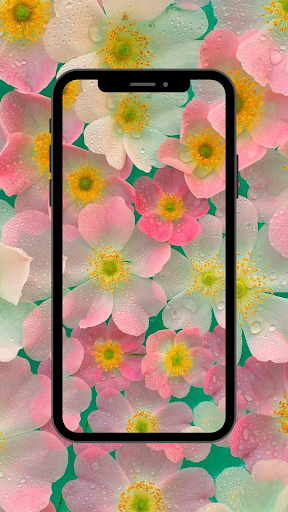 Flowers Wallpaper UHD Screen 2