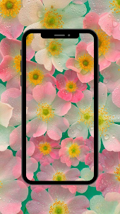 Flowers Wallpaper UHD