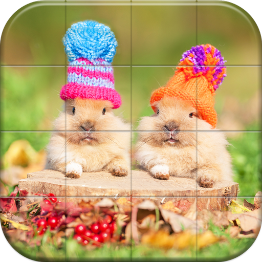 Lovely Pet Puzzle  Icon