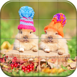 Lovely Pet Puzzle icon