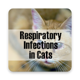 Respiratory Infections in Cats icon
