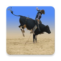 Learn Bull Riding