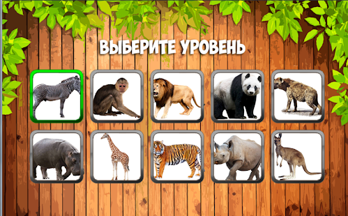 Learn animals for kids, birds, fish and insects