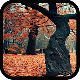 Galaxy S5 Autumn LiveWallpaper icon