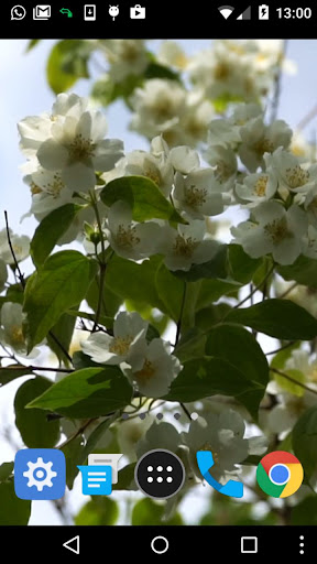 jasmine flower wallpaper Screen 2