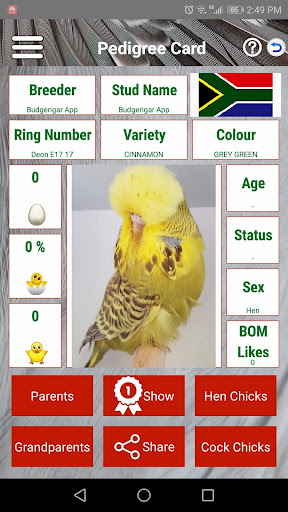Budgerigar App Screen 3