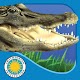 Alligator at Saw Grass Road Windowsでダウンロード